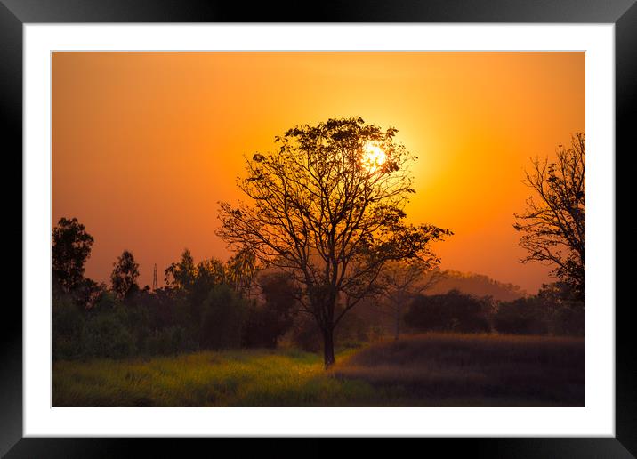 Orange sunset through the tree Framed Mounted Print by Jordan Jelev
