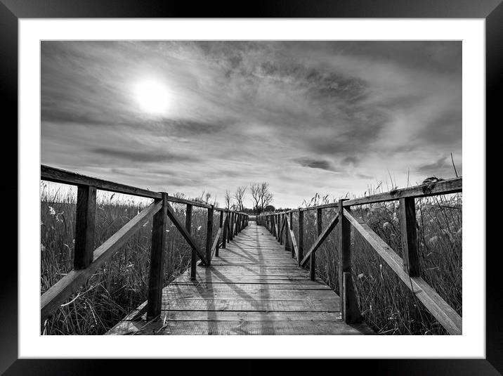 A wooden bridge in a swamp Framed Mounted Print by Jordan Jelev