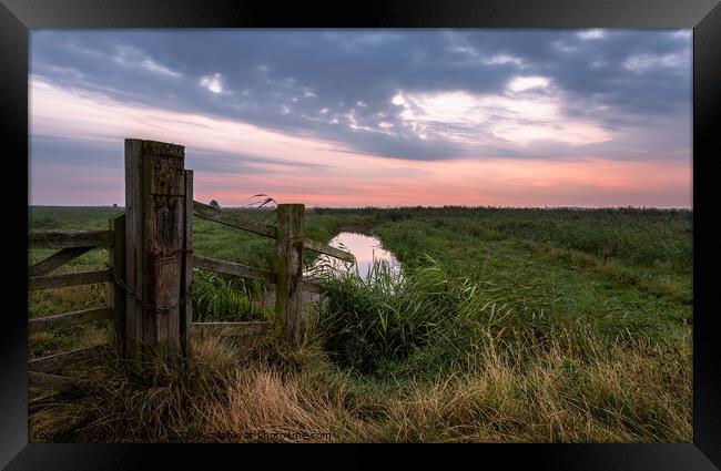 Dawn on Halvergate Marshes Norfolk Framed Print by David Powley