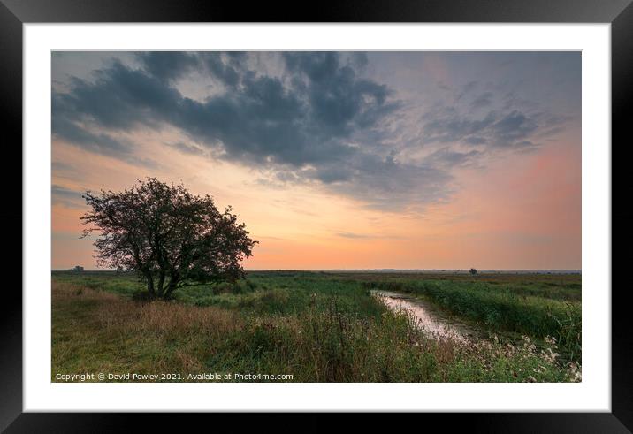 Halvergate Marshes Norfolk at Dawn Framed Mounted Print by David Powley