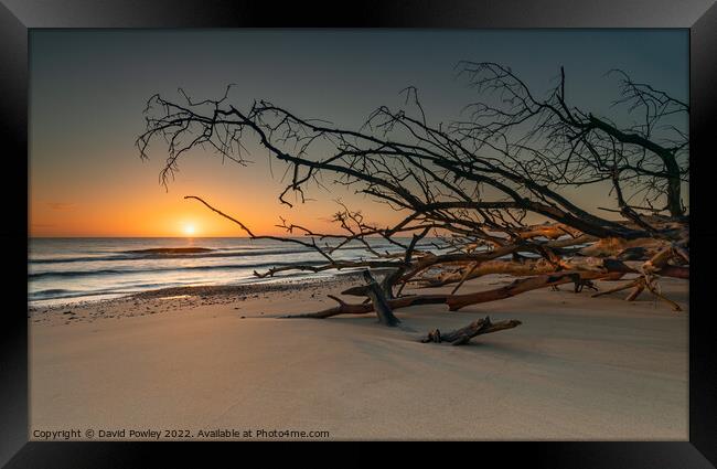 Sunrise on Benacre Beach Suffolk Framed Print by David Powley