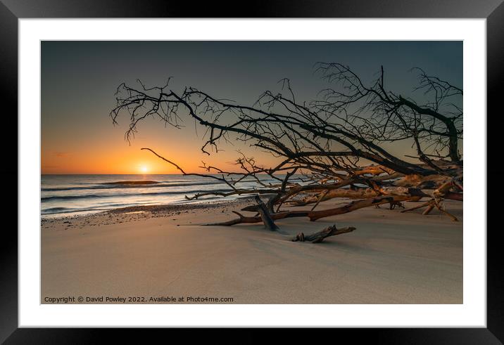 Sunrise on Benacre Beach Suffolk Framed Mounted Print by David Powley