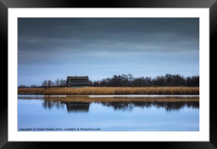 Golden Tranquility at Horsey Mere Framed Mounted Print by David Powley