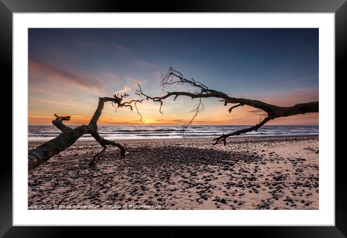 Covehithe Beach at Sunrise Framed Mounted Print by David Powley