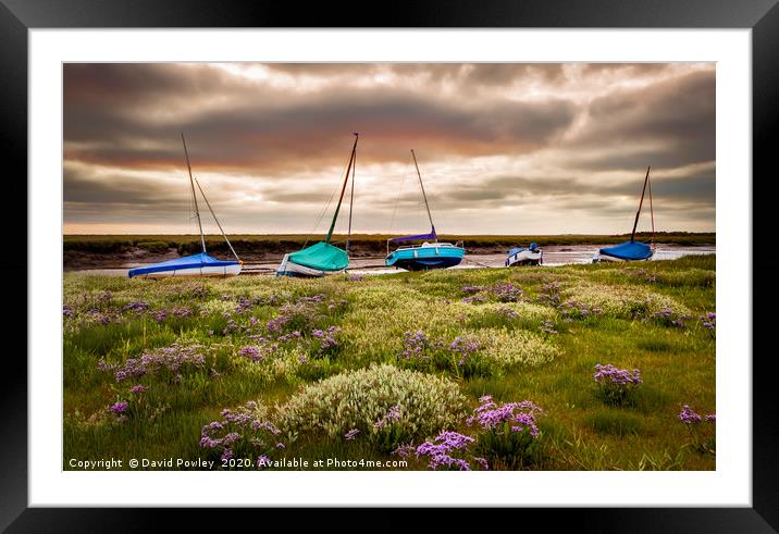 Sea Lavender and boats at Blakeney Framed Mounted Print by David Powley