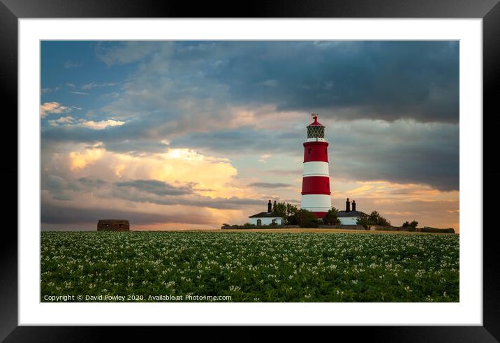 Evening light over Happisburgh Lighthouse Framed Mounted Print by David Powley