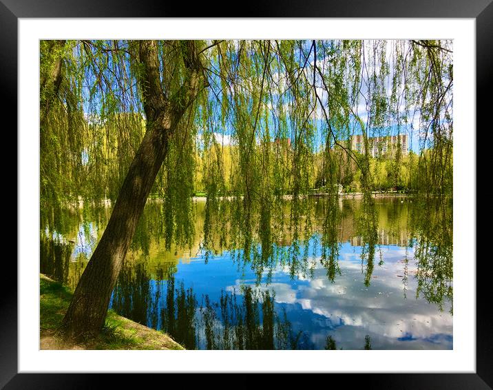 City, Rivne,Photography,Nature,trip, nature,flower Framed Mounted Print by Andris Zingis