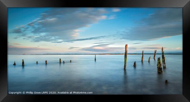 Lindisfarne Jetty Timbers Framed Print by Phillip Dove LRPS