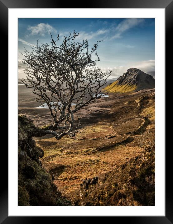 Quiraing hanging tree Framed Mounted Print by Phillip Dove LRPS