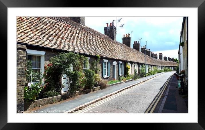 Victorian terrace houses  Framed Mounted Print by Anthony Byrne