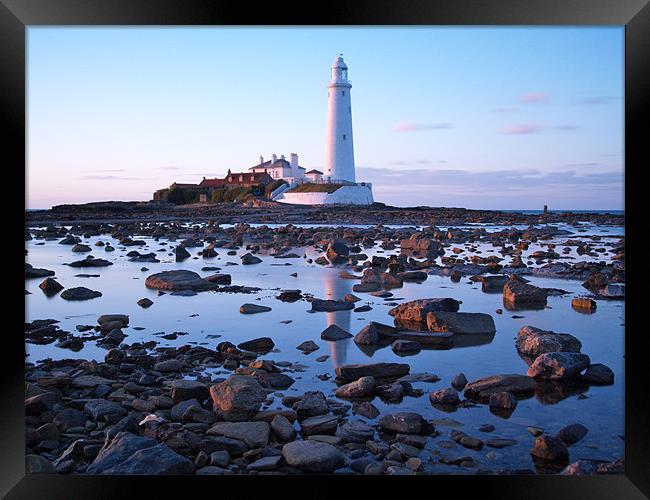 St Marys Island and Lighthouse. Framed Print by Andrew Bradshaw