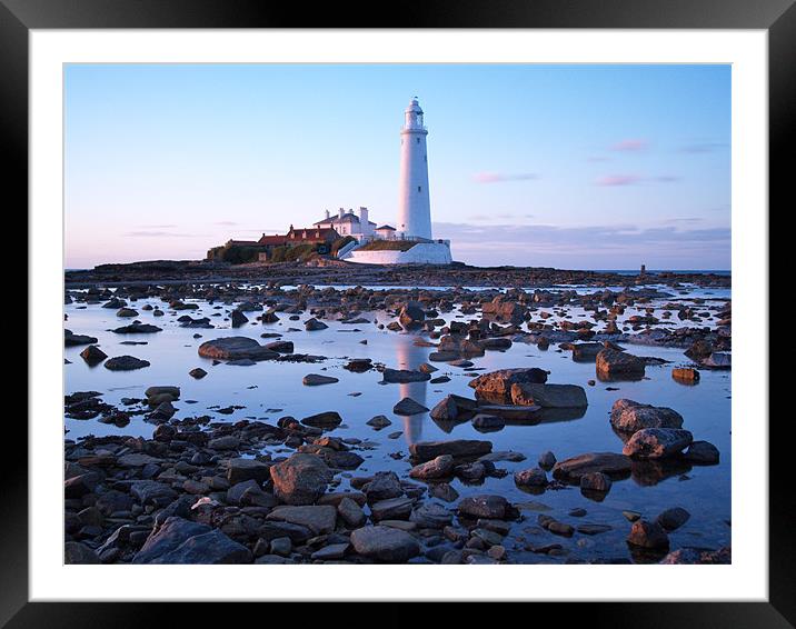 St Marys Island and Lighthouse. Framed Mounted Print by Andrew Bradshaw