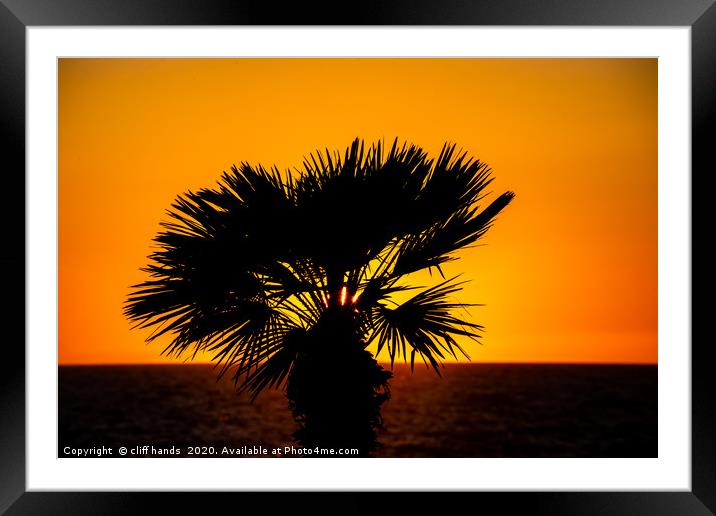 sunset palm Framed Mounted Print by Scotland's Scenery