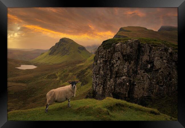 The Quiraing Framed Print by Scotland's Scenery
