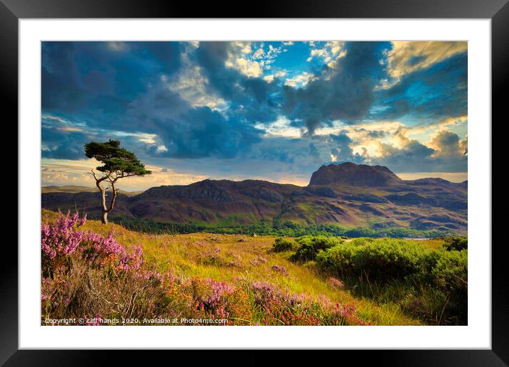 lone tree at Loch Maree. Framed Mounted Print by Scotland's Scenery
