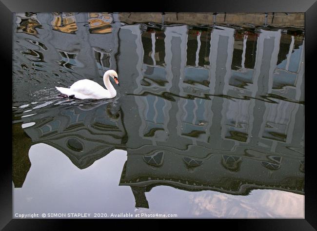 SWAN ON BRUGGES CANAL Framed Print by SIMON STAPLEY