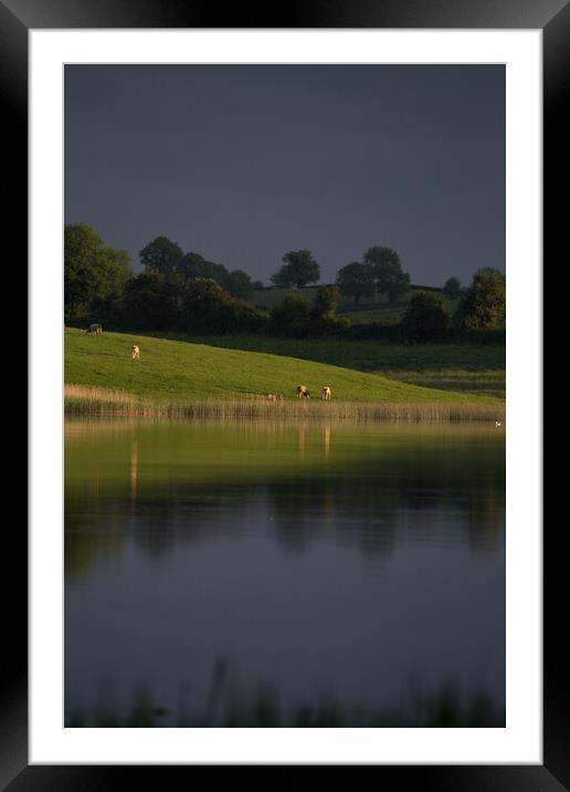 Loch and Cattle Northern Ireland Framed Mounted Print by Christopher Stores