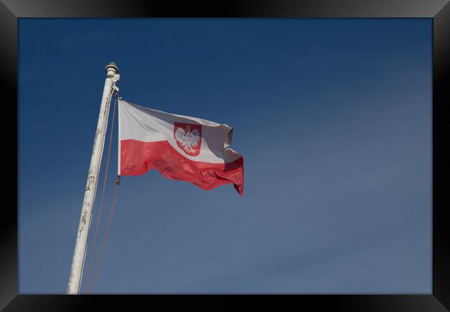 Polish Flag Framed Print by Christopher Stores