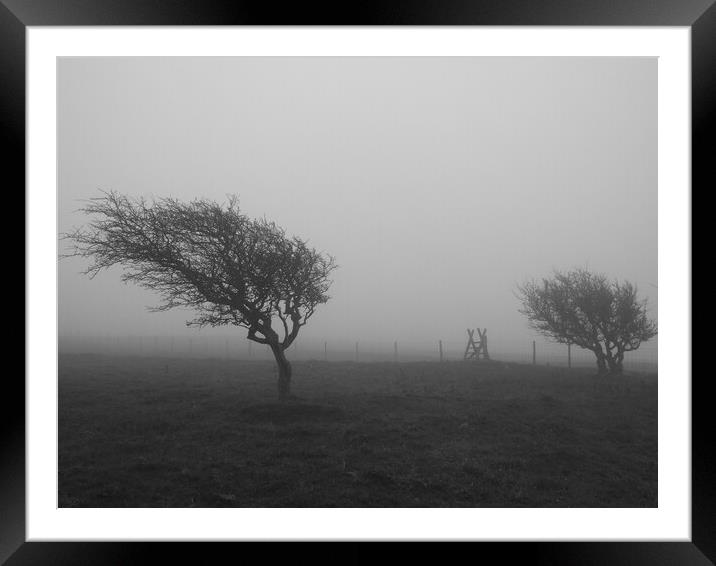 Black and White Tree in the mist Framed Mounted Print by Christopher Stores