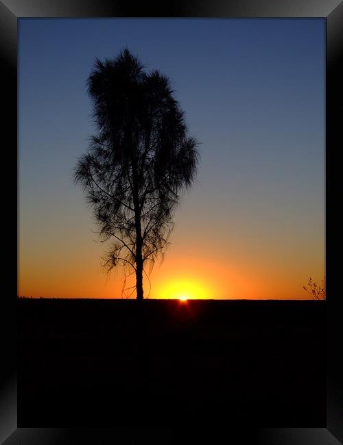 Sunrise near Uluru, Australia Framed Print by Christopher Stores