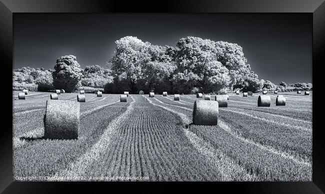 Harvest Framed Print by Clive Ingram