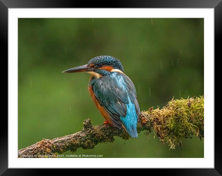 Fisherman in the rain Framed Mounted Print by Clive Ingram