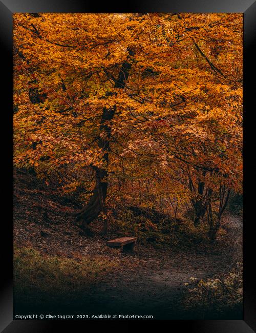A place to contemplate in autumn Framed Print by Clive Ingram
