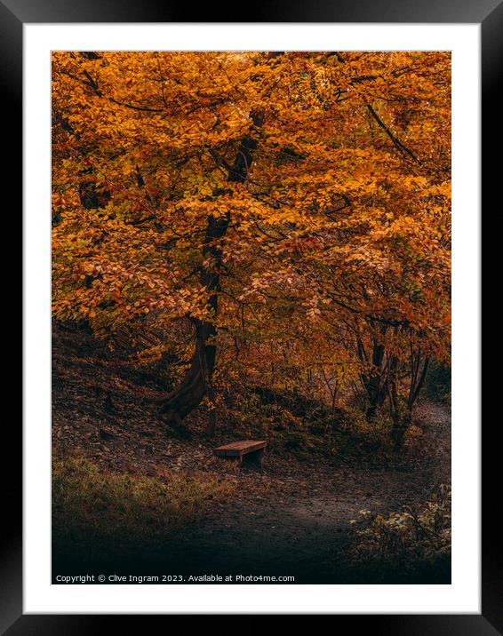 A place to contemplate in autumn Framed Mounted Print by Clive Ingram