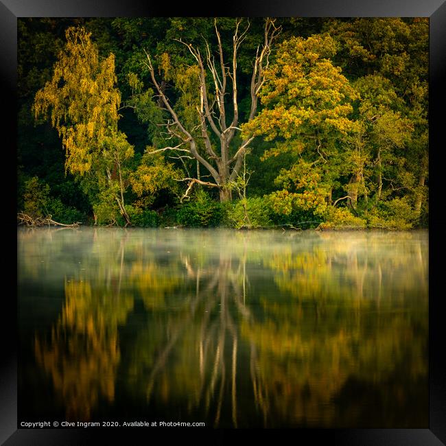 Reflections of autumn Framed Print by Clive Ingram