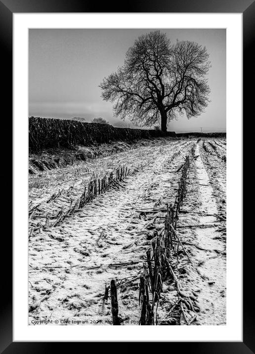 Alone in winter Framed Mounted Print by Clive Ingram