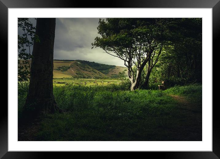 Friston Forest Peaceful Bench  Framed Mounted Print by Ben Russell