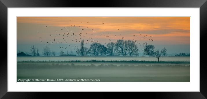Low mist sunset and birds  Framed Mounted Print by Stephen Rennie