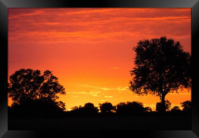 Sunset Framed Print by Catja Schonlau