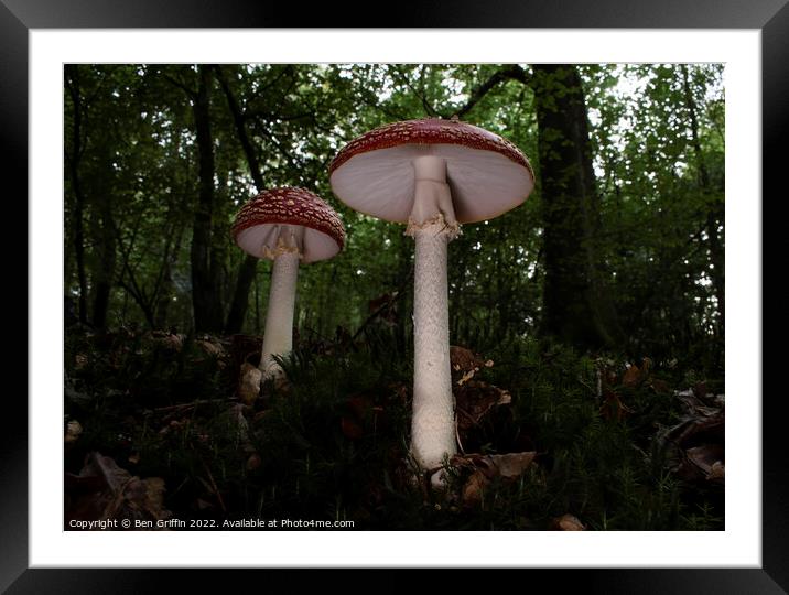 Giant Toadstools Framed Mounted Print by Ben Griffin