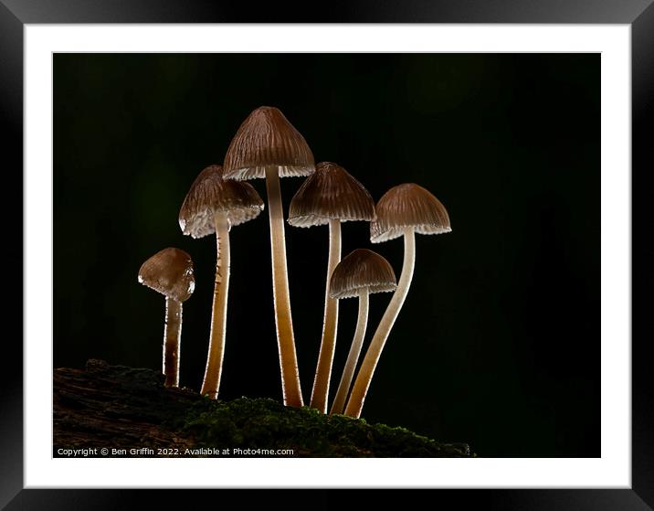 Fantastic Fungi Framed Mounted Print by Ben Griffin