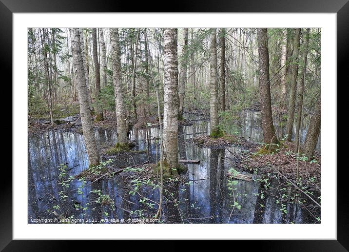 Flooded Forest Framed Mounted Print by Juha Agren