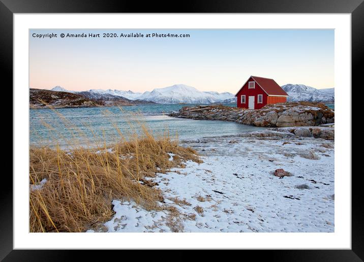 Red Hut by the Sea in Norway Framed Mounted Print by Amanda Hart