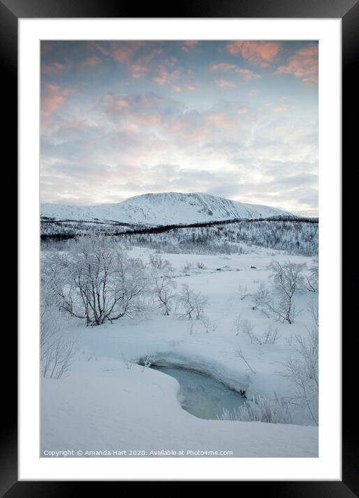 Frozen trees in Norway Framed Mounted Print by Amanda Hart