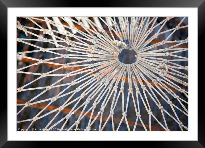 Pattern of a lobster pot Framed Mounted Print by Amanda Hart