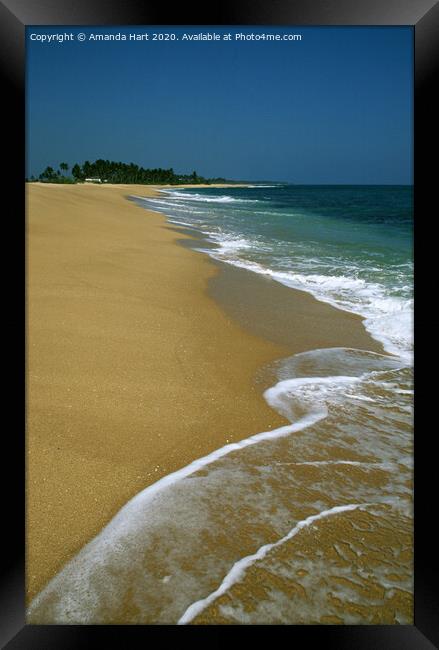 Beach at Tangalle in Sri Lanka Framed Print by Amanda Hart