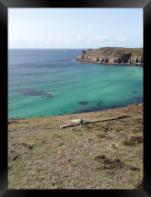 Coastal walk to Nanijzal beach Framed Print by simon cowan