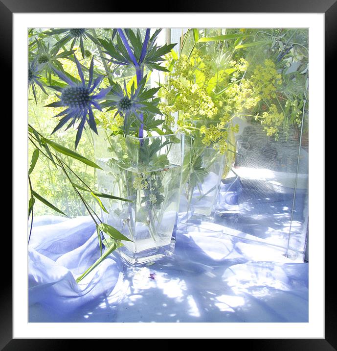 Blue Light  Framed Mounted Print by Judy Stalus