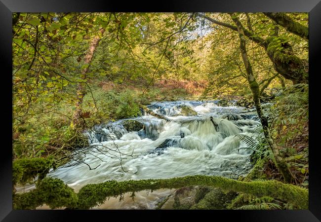 Horner Water in flood, Exmoor National Park Framed Print by Shaun Davey