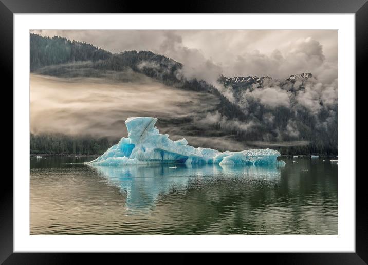 Iceberg, Le Conte Bay, Petersburg, Alaska Framed Mounted Print by Shaun Davey