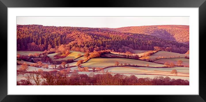 Frosty dawn fields on the Vale of Porlock Framed Mounted Print by Shaun Davey