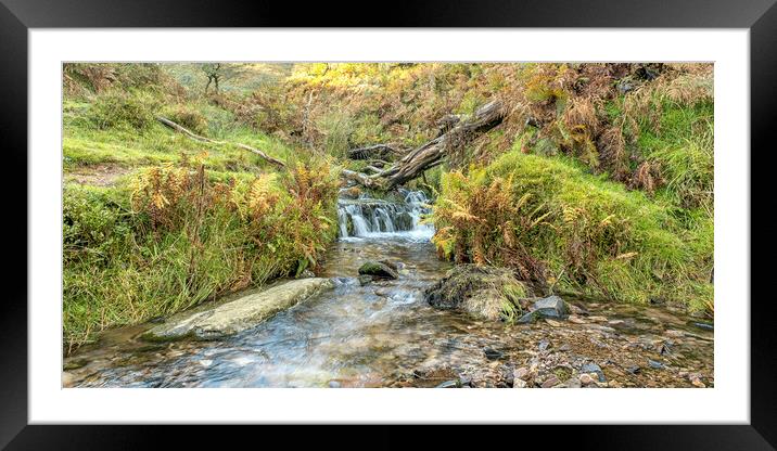 Sweetworthy Combe, Exmoor Framed Mounted Print by Shaun Davey