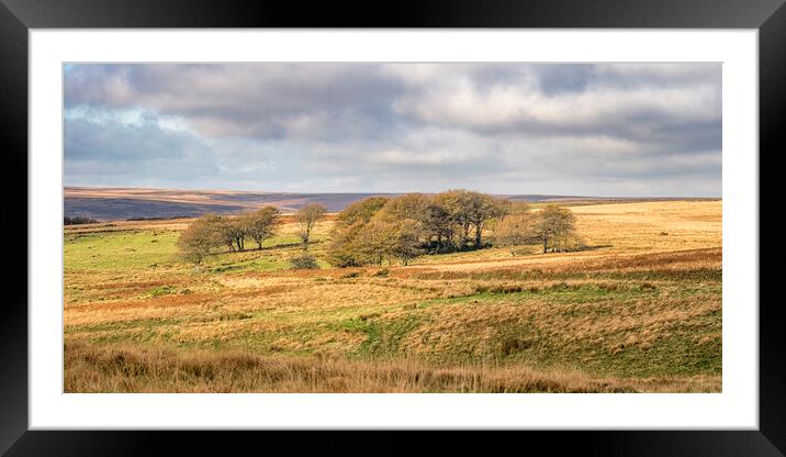 Larkbarrow, Exmoor Framed Mounted Print by Shaun Davey