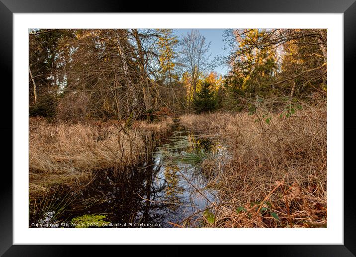 a stream that still flows through reeds and thickets in the wild Framed Mounted Print by Stig Alenäs