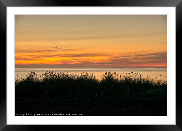silhouett of dune grass against the sea and the ri Framed Mounted Print by Stig Alenäs