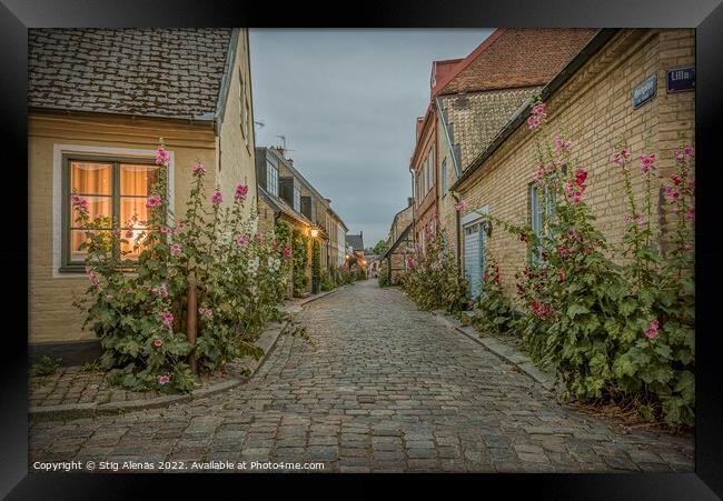Hjortgatan in the old town of Lund is an idyllic lane with holly Framed Print by Stig Alenäs